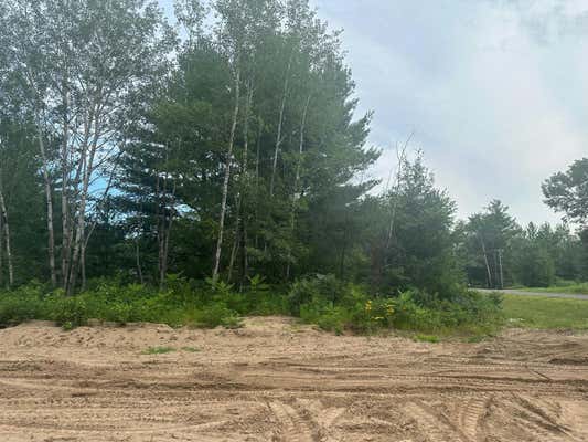 LOT 1 BLK 1 BRUMMER DRIVE, RANDALL, MN 56475 - Image 1