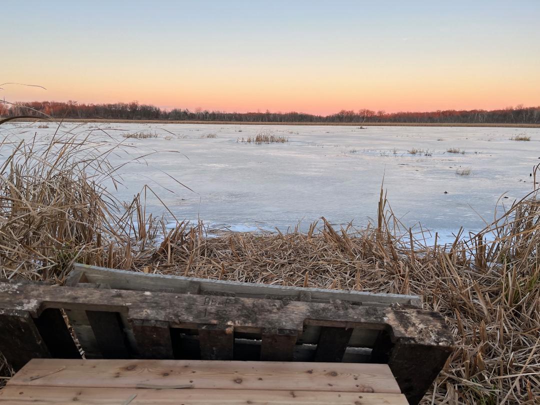 Andover, Minnesota, 55304, United States, 5 Bedrooms Bedrooms, ,5 BathroomsBathrooms,Residential,Active,1943833