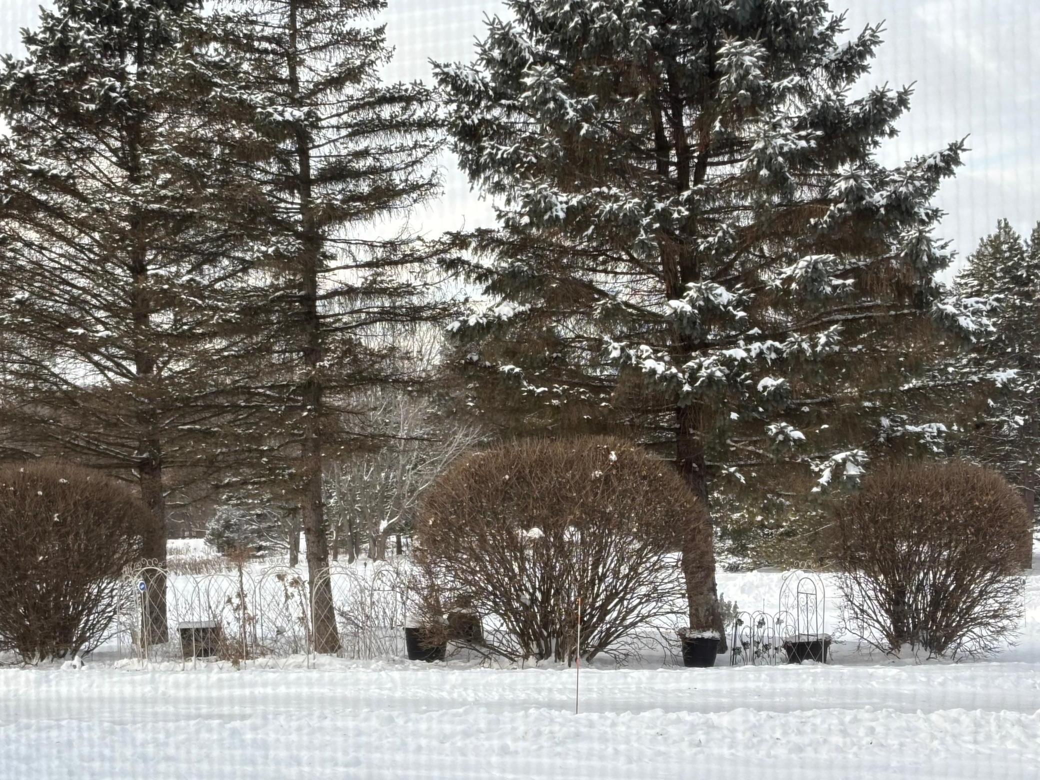 Afton, Minnesota, 55001, United States, 6 Bedrooms Bedrooms, ,6 BathroomsBathrooms,Residential,Active,1973262