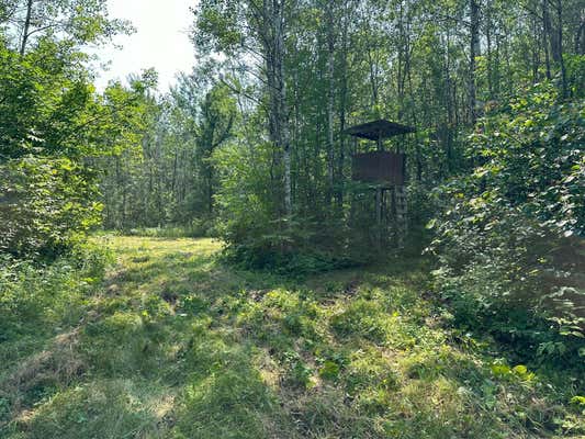 XX CARAWAY ROAD, EMILY, MN 56447 - Image 1