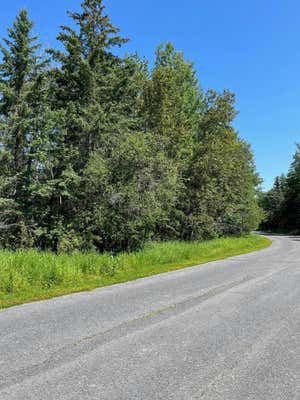 TBD TOWN ROAD 224, INTERNATIONAL FALLS, MN 56649 - Image 1