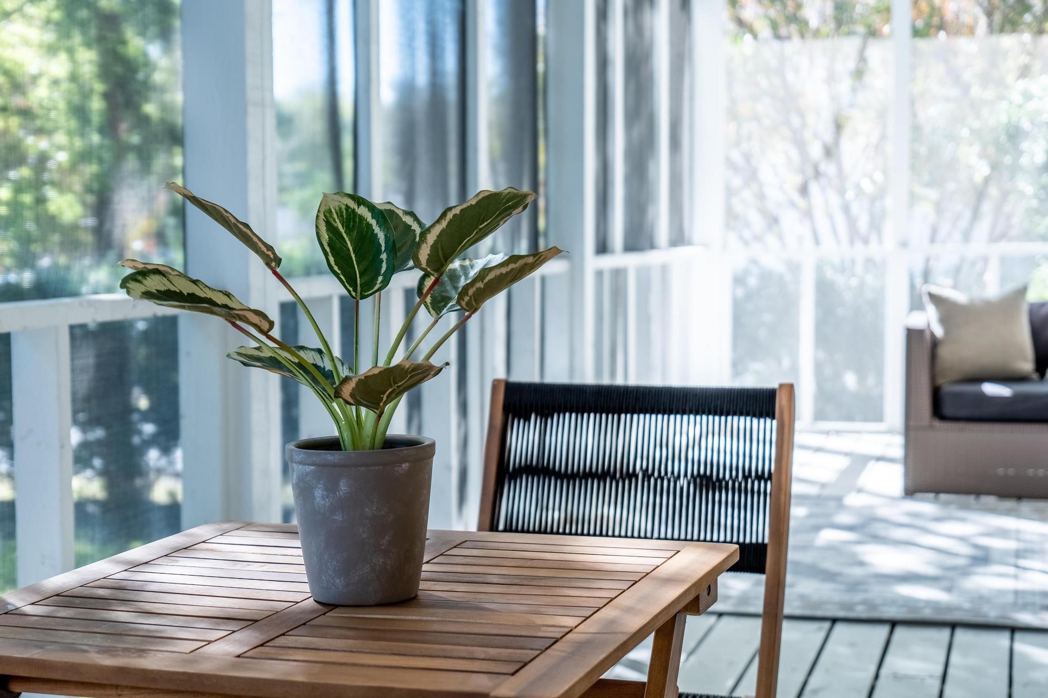 Mckinney, Texas, 75069, United States, 4 Bedrooms Bedrooms, ,4 BathroomsBathrooms,Residential,Active,1936375