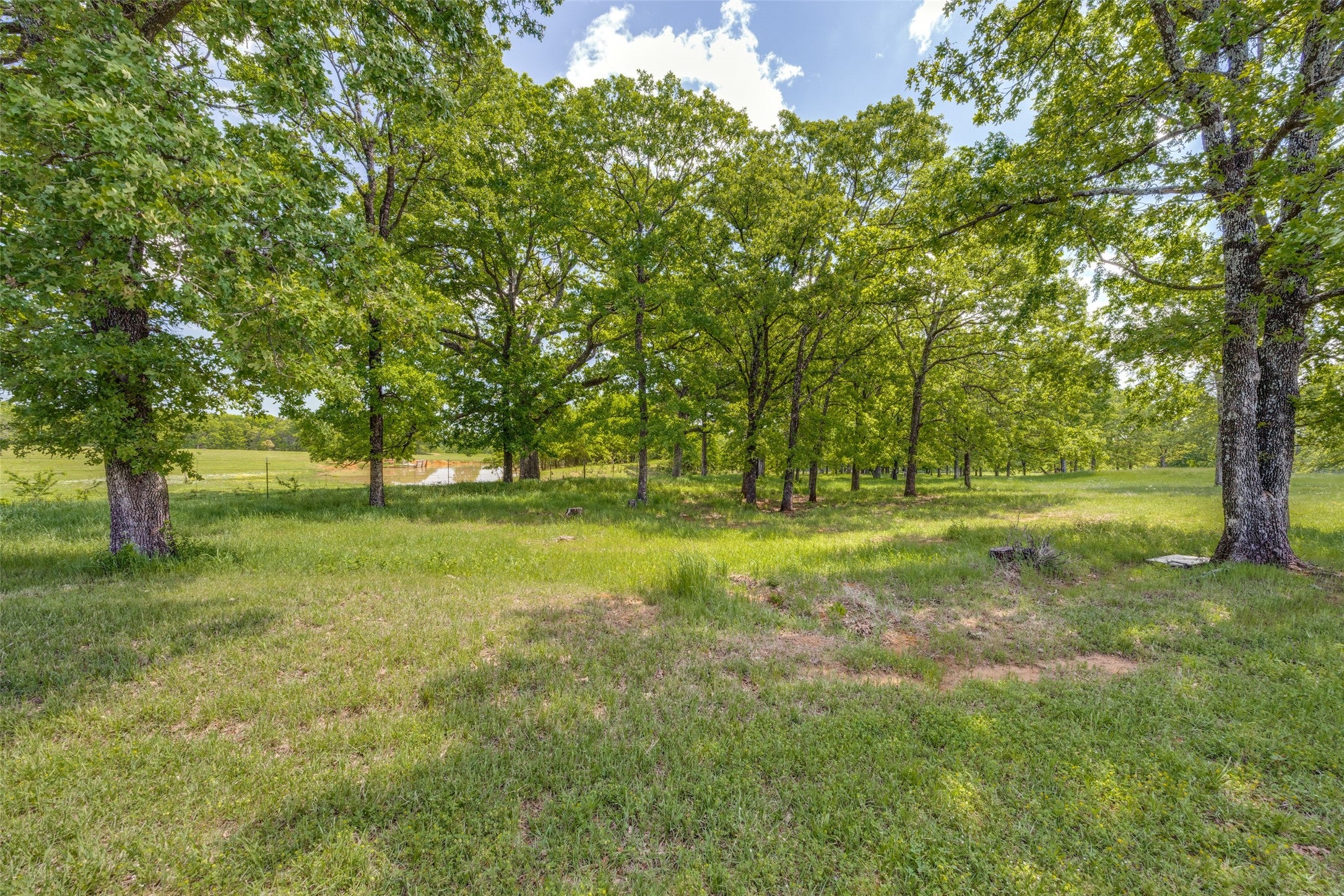 Bells, Texas, 75414, United States, ,3 BathroomsBathrooms,Residential,Active,1808226