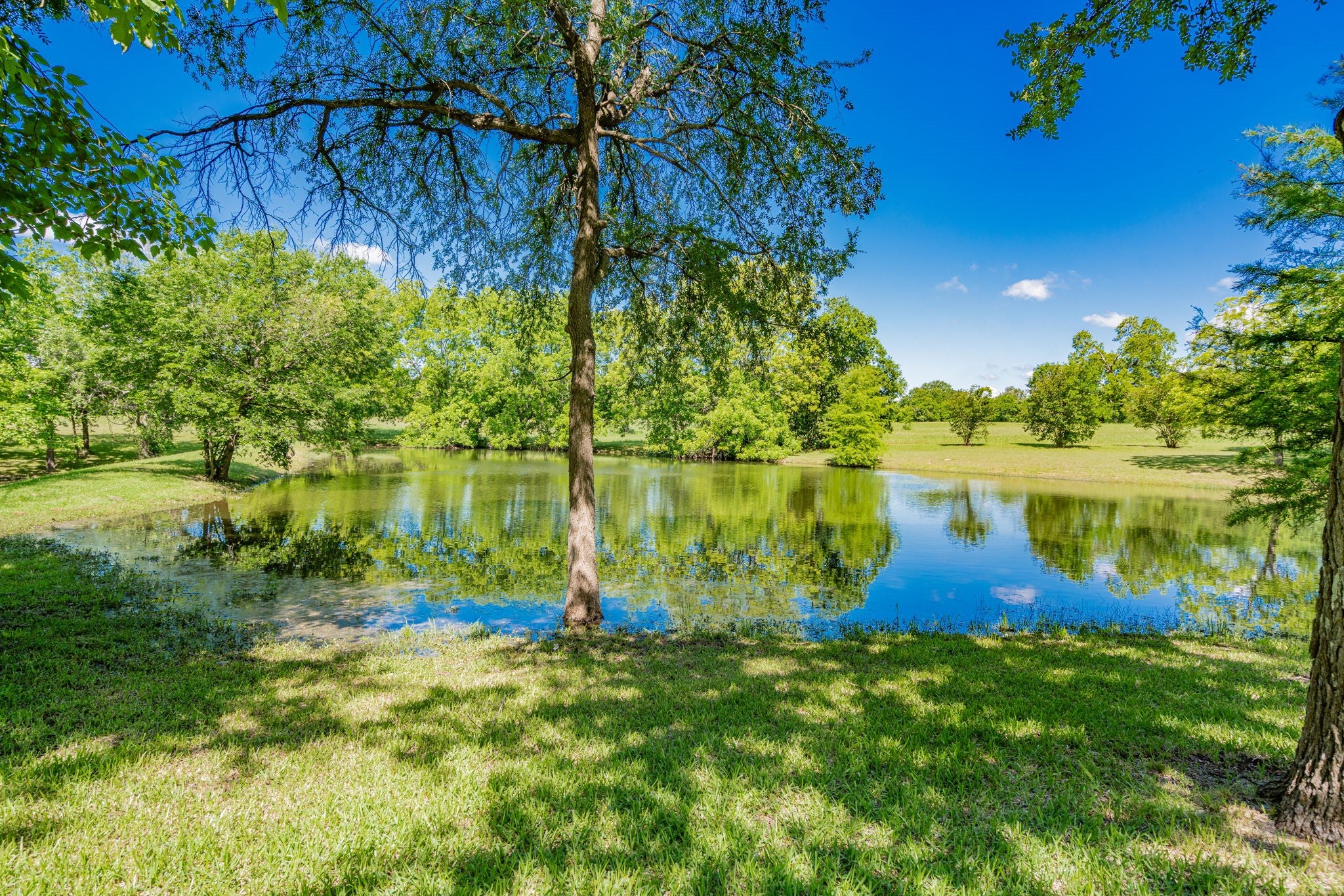 Seagoville, Texas, 75159, United States, 4 Bedrooms Bedrooms, ,5 BathroomsBathrooms,Residential,Active,1810463