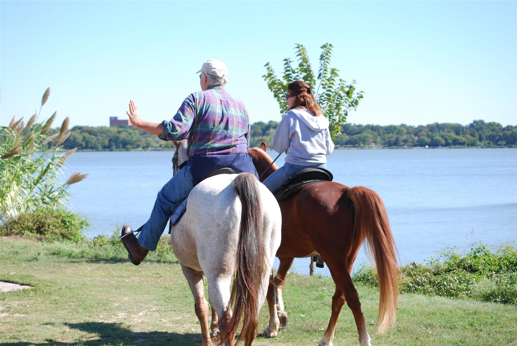 Dallas, Texas, 75218, United States, 3 Bedrooms Bedrooms, ,2 BathroomsBathrooms,Residential,Active,2010190