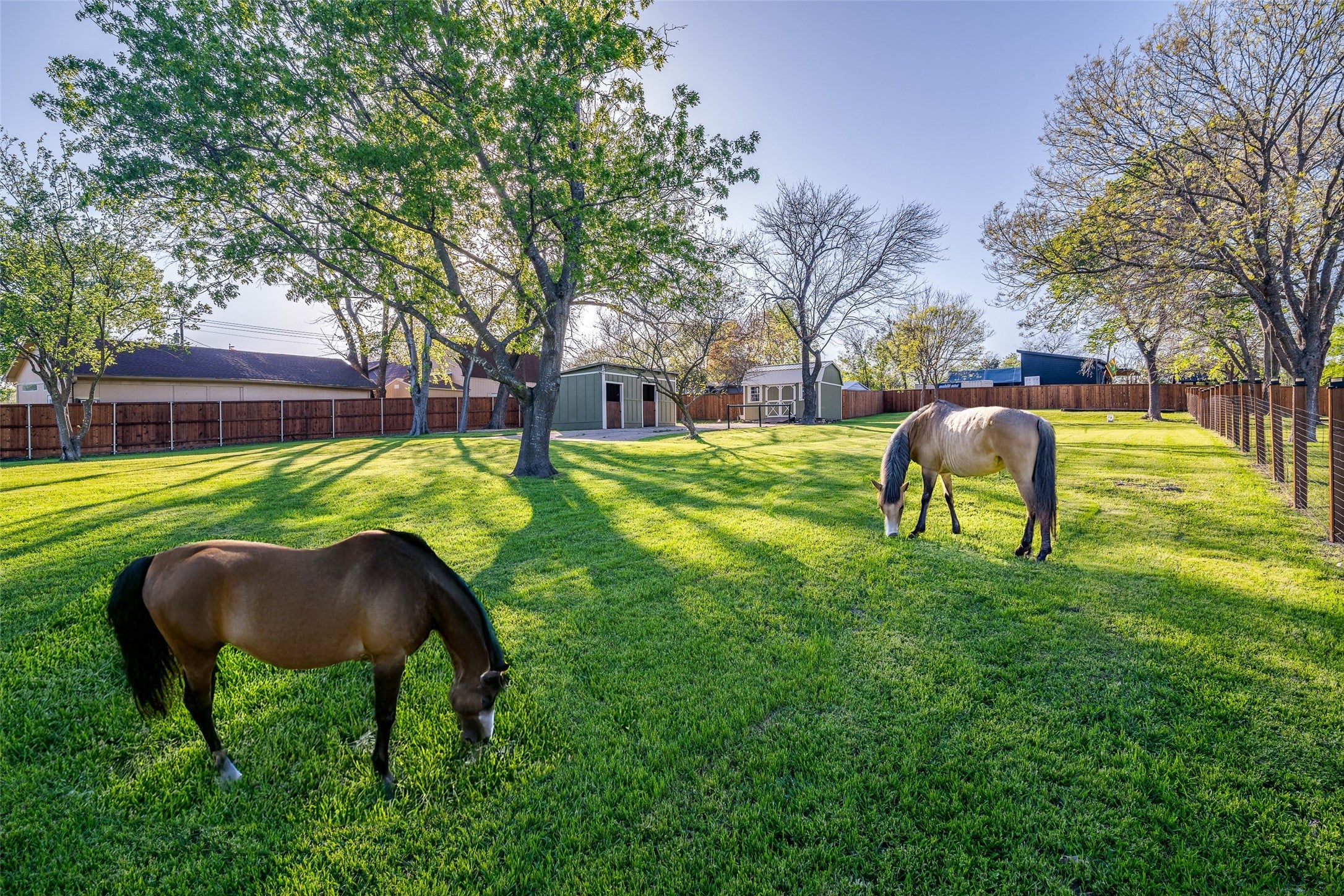 Wylie, Texas, 75098, United States, ,3 BathroomsBathrooms,Residential,Active,1899204