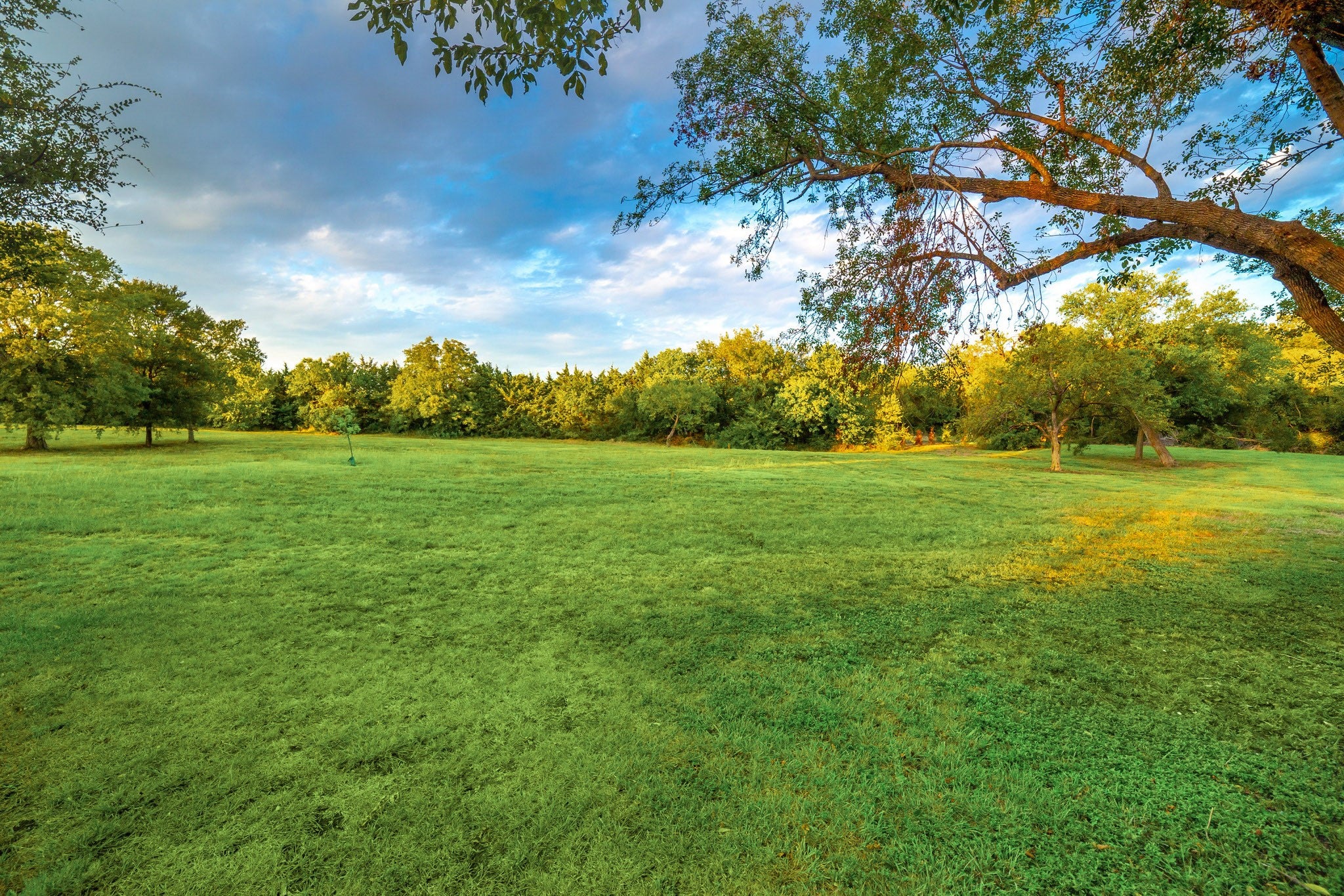 Wylie, Texas, 75098, United States, ,3 BathroomsBathrooms,Residential,Active,1899204