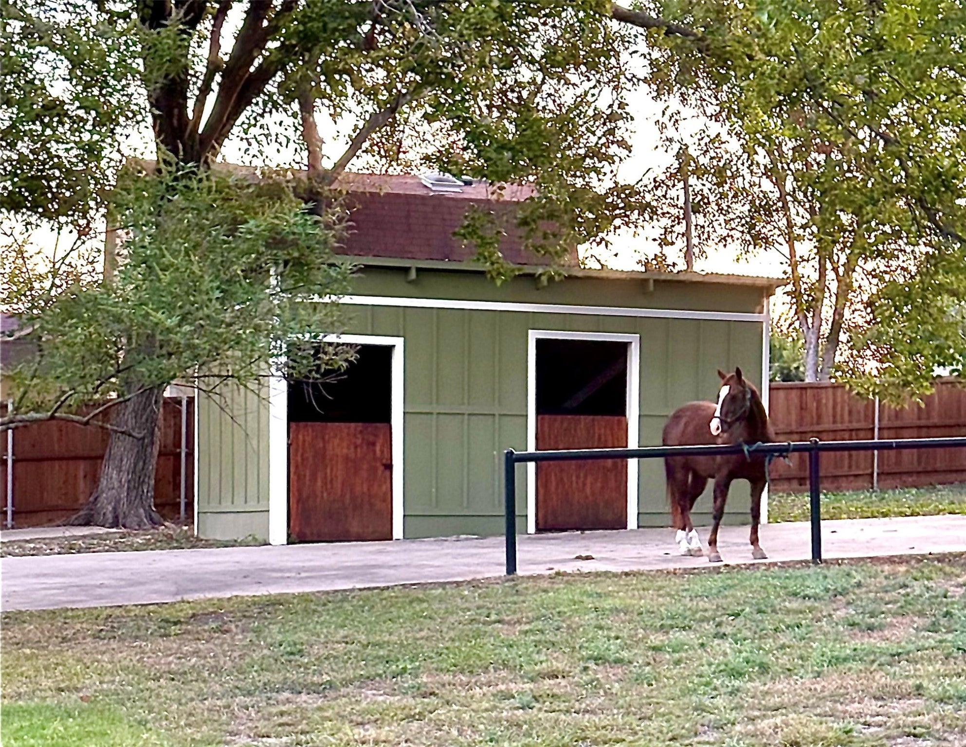 Wylie, Texas, 75098, United States, ,3 BathroomsBathrooms,Residential,Active,1899204