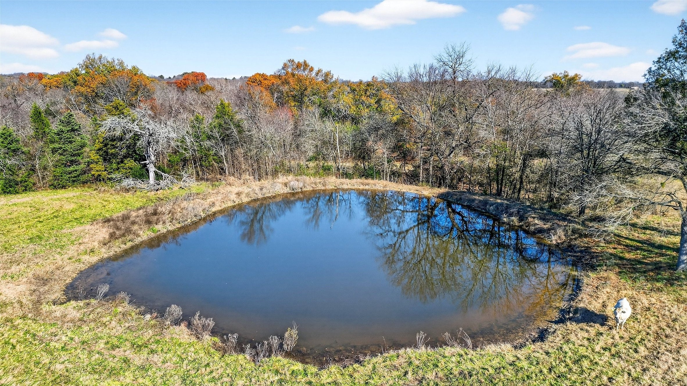Sherman, Texas, 75090, United States, 3 Bedrooms Bedrooms, ,2 BathroomsBathrooms,Residential,Active,2006784