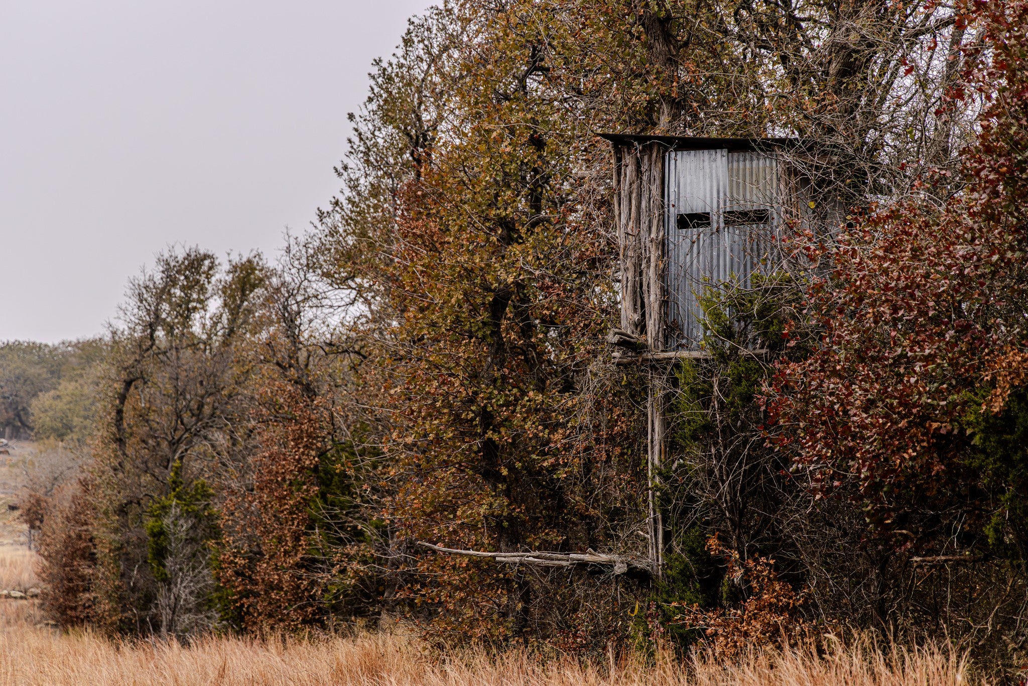 Graford, Texas, 76449, United States, 2 Bedrooms Bedrooms, ,1 BathroomBathrooms,Residential,Active,2006785