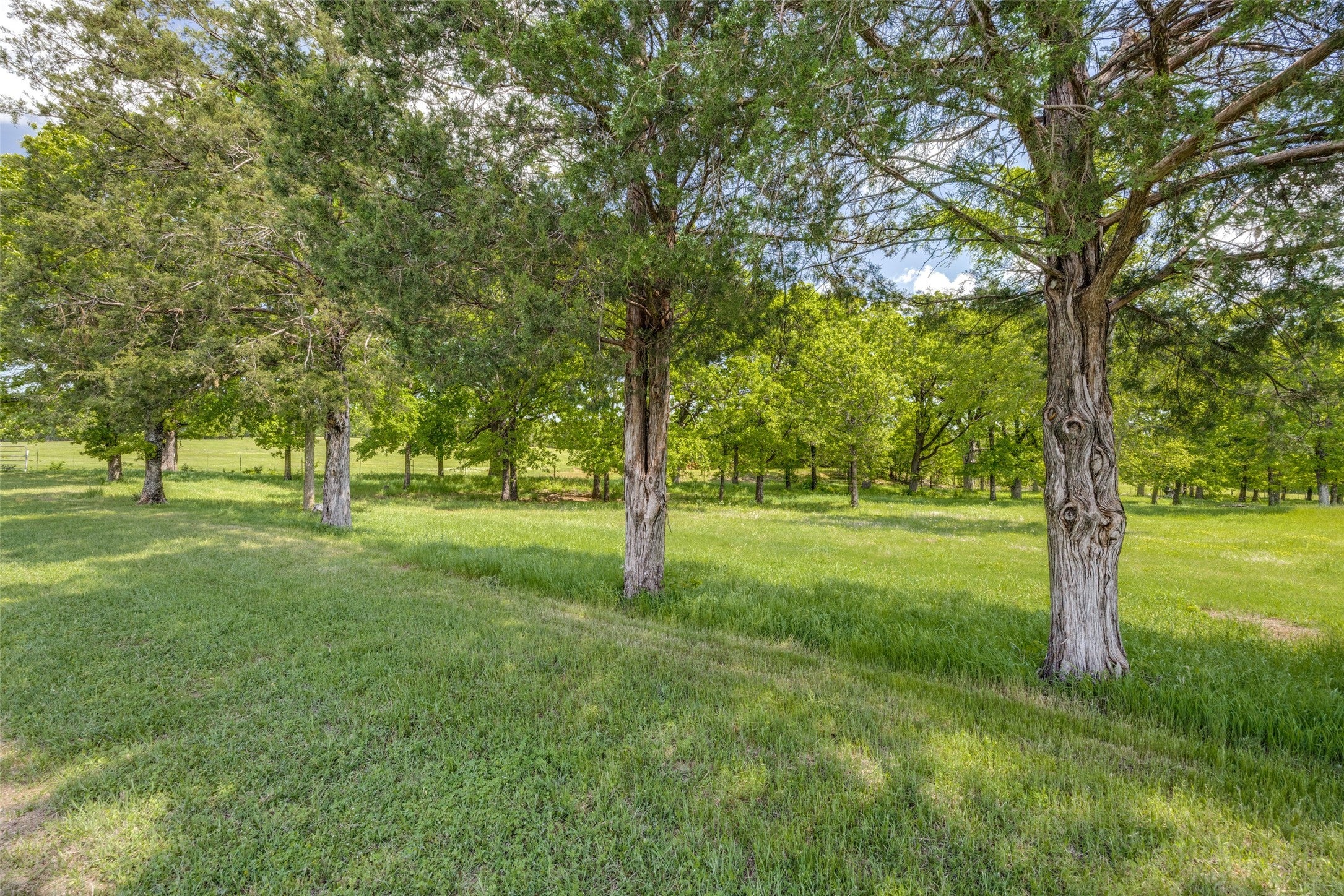 Bells, Texas, 75414, United States, ,3 BathroomsBathrooms,Residential,Active,1808226