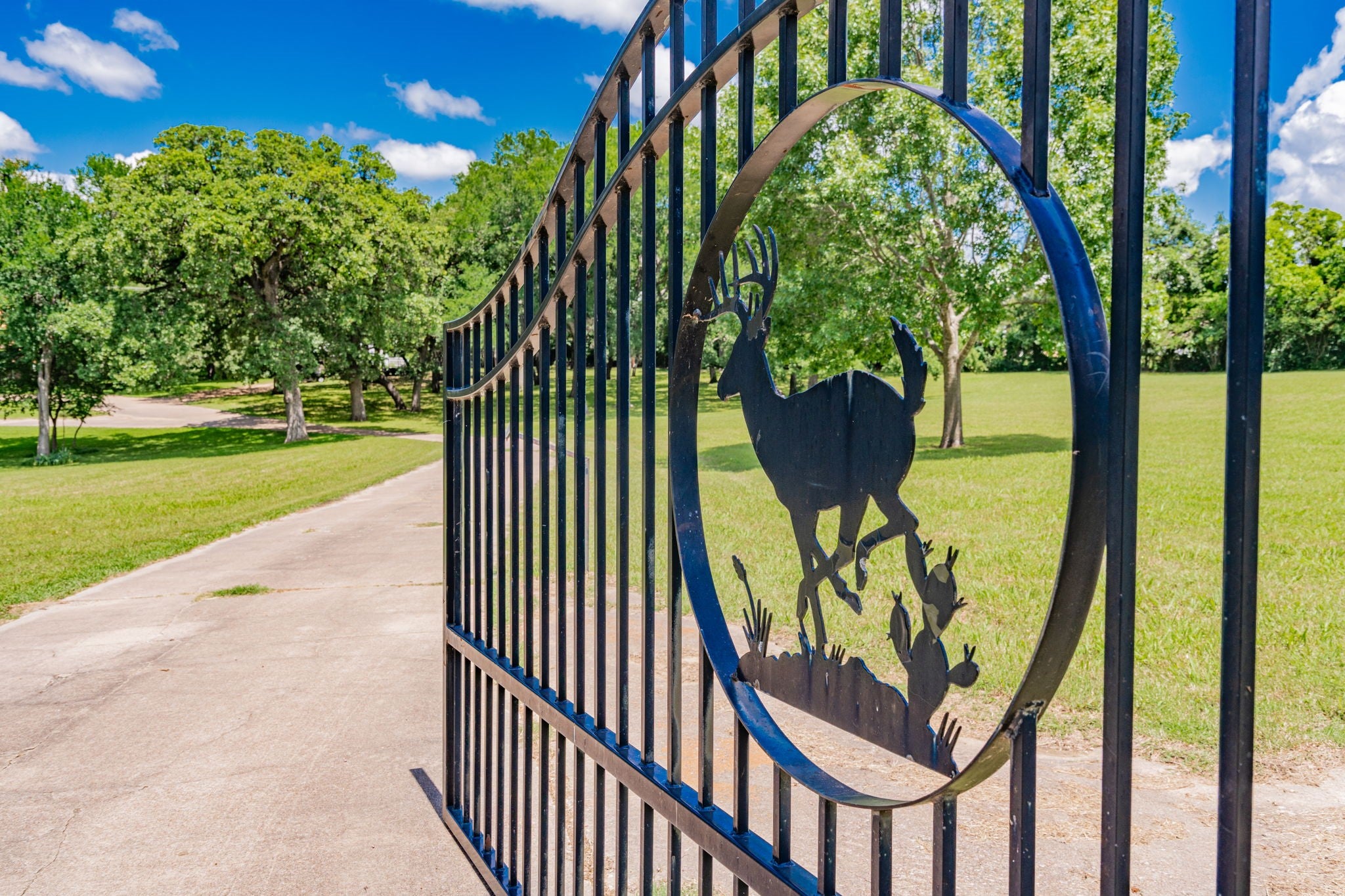 Seagoville, Texas, 75159, United States, 4 Bedrooms Bedrooms, ,5 BathroomsBathrooms,Residential,Active,1810463