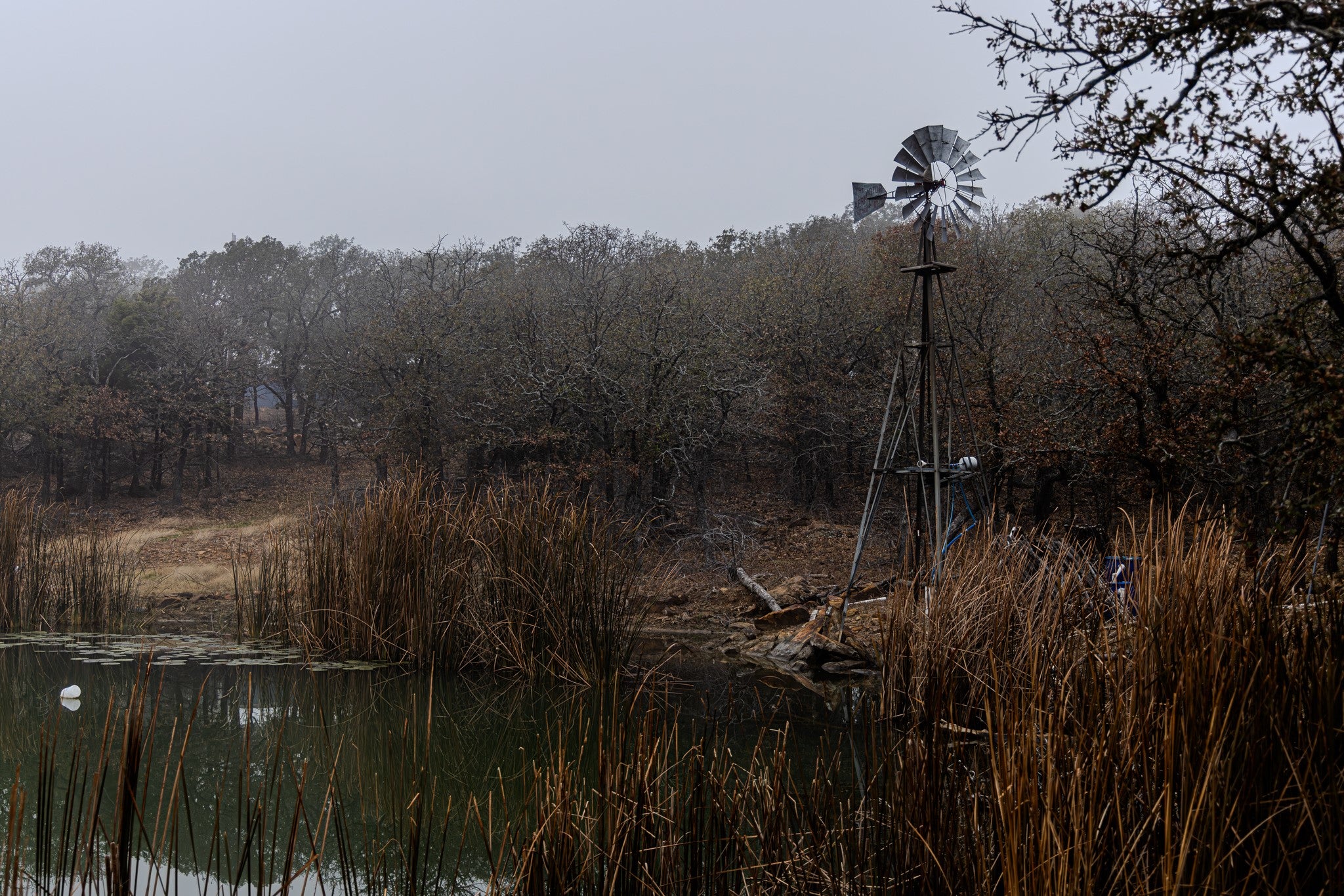 Graford, Texas, 76449, United States, 2 Bedrooms Bedrooms, ,1 BathroomBathrooms,Residential,Active,2006785