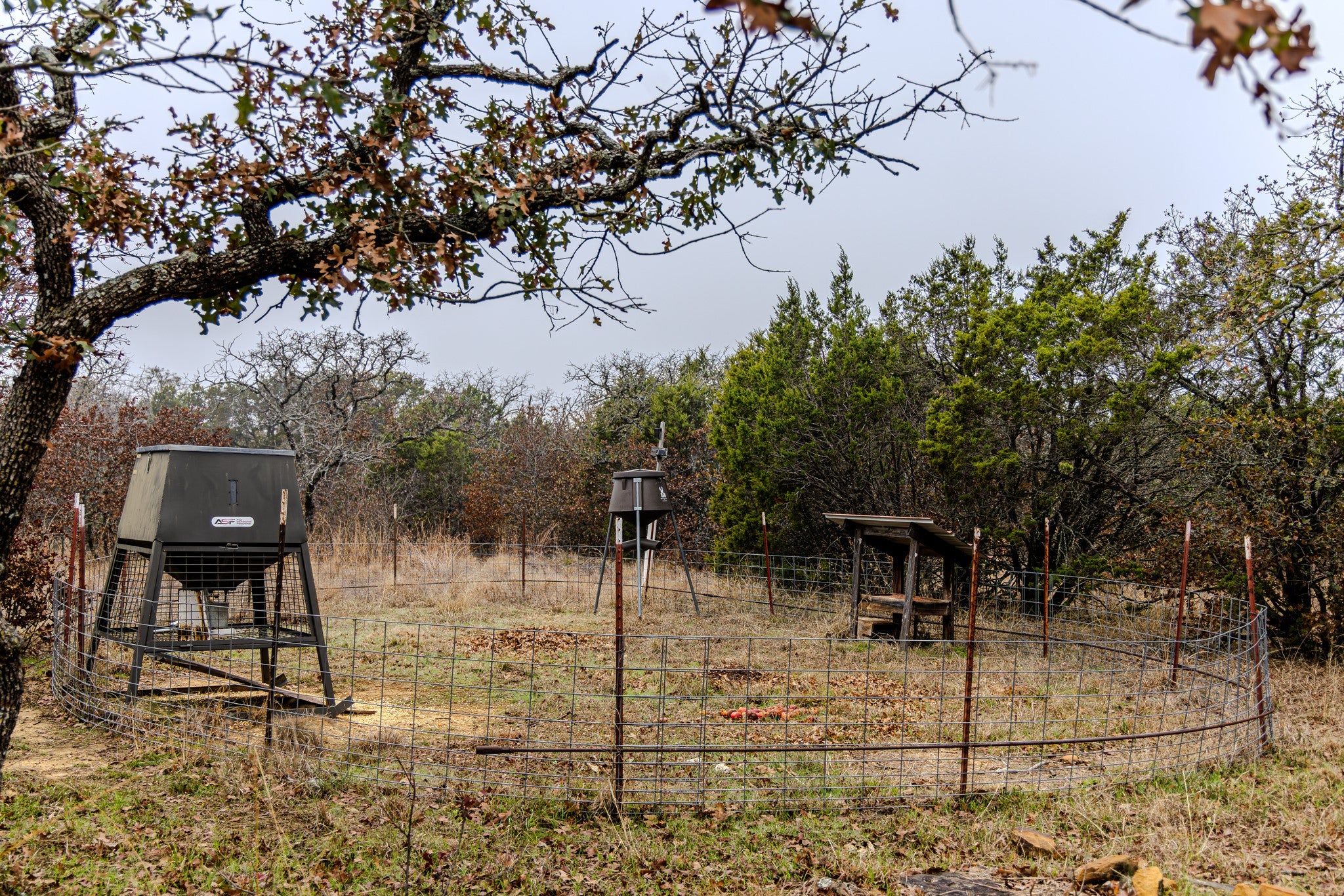 Graford, Texas, 76449, United States, 2 Bedrooms Bedrooms, ,1 BathroomBathrooms,Residential,Active,2006785