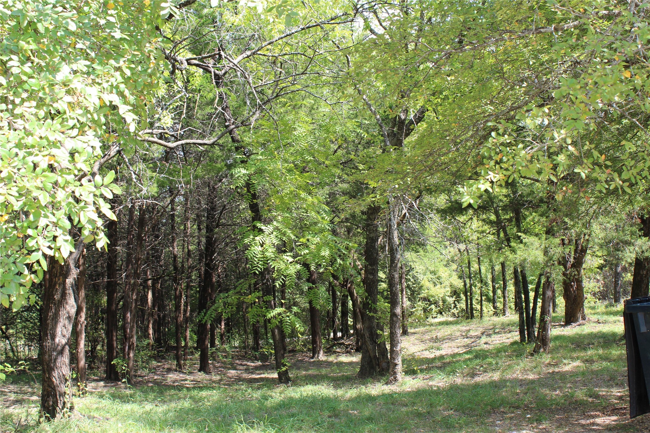 Bonham, Texas, 75418, United States, 9 Bedrooms Bedrooms, ,6 BathroomsBathrooms,Residential,Active,1988719