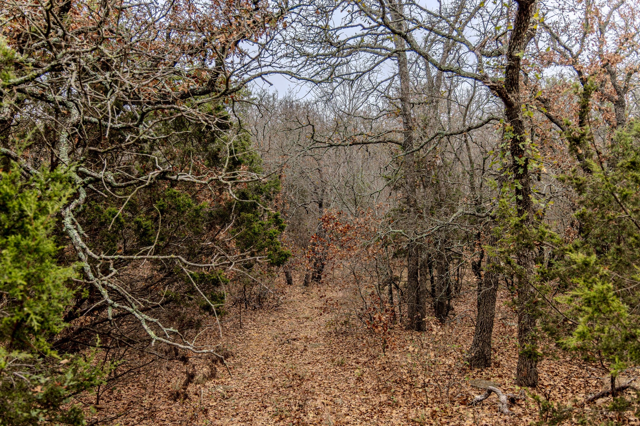 Graford, Texas, 76449, United States, 2 Bedrooms Bedrooms, ,1 BathroomBathrooms,Residential,Active,2006785