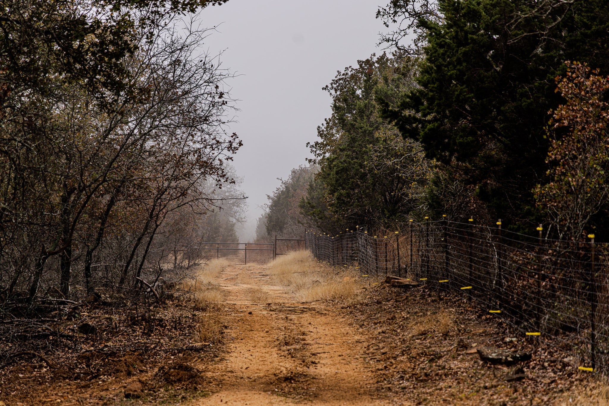 Graford, Texas, 76449, United States, 2 Bedrooms Bedrooms, ,1 BathroomBathrooms,Residential,Active,2006785