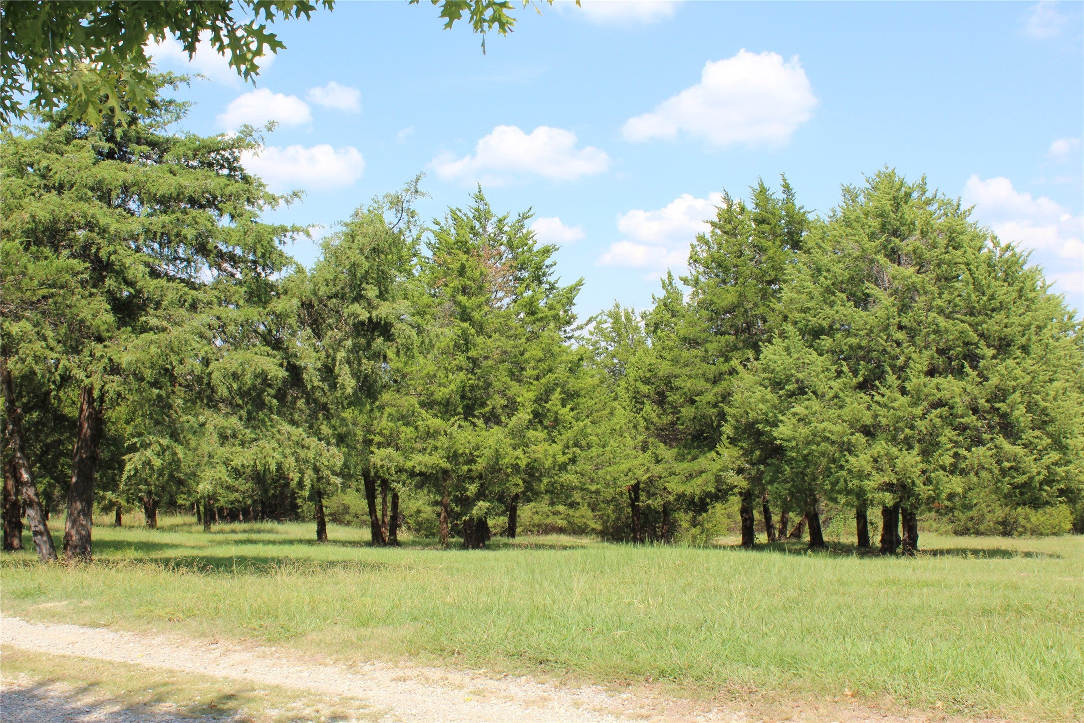 Bonham, Texas, 75418, United States, 9 Bedrooms Bedrooms, ,6 BathroomsBathrooms,Residential,Active,1988719