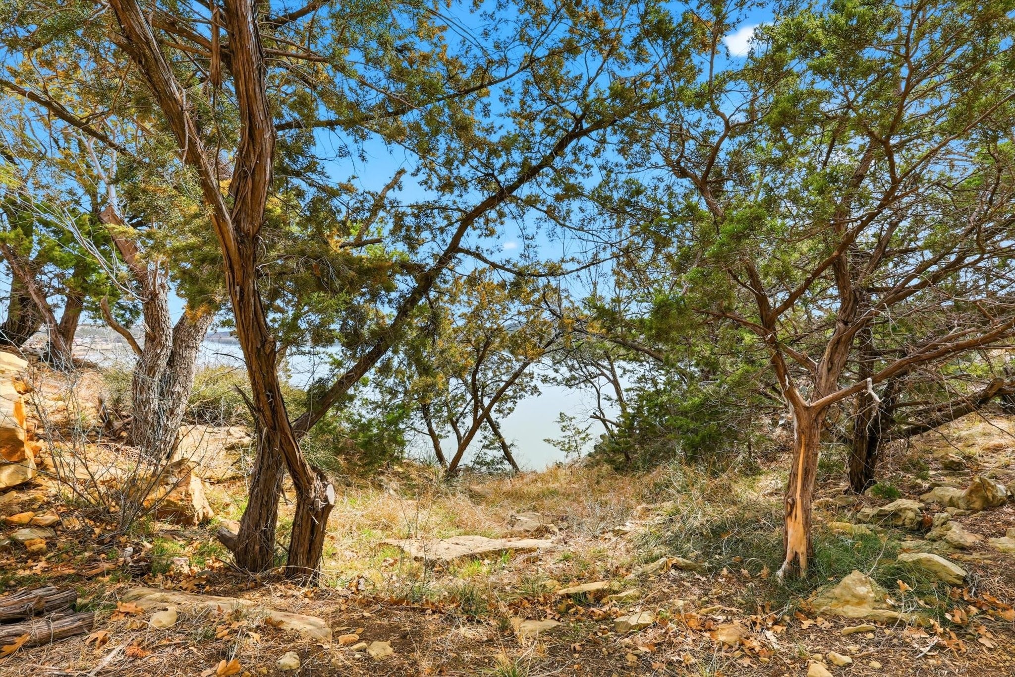 Graham, Texas, 76450, United States, 4 Bedrooms Bedrooms, ,4 BathroomsBathrooms,Residential,Active,2017097