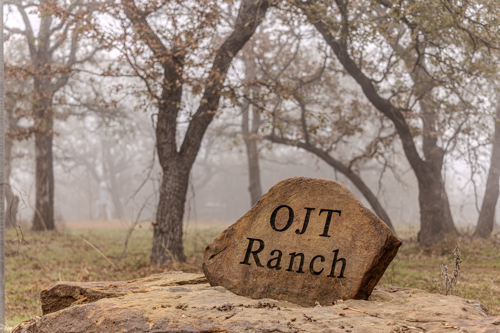 Graford, Texas, 76449, United States, 2 Bedrooms Bedrooms, ,1 BathroomBathrooms,Residential,Active,2006785