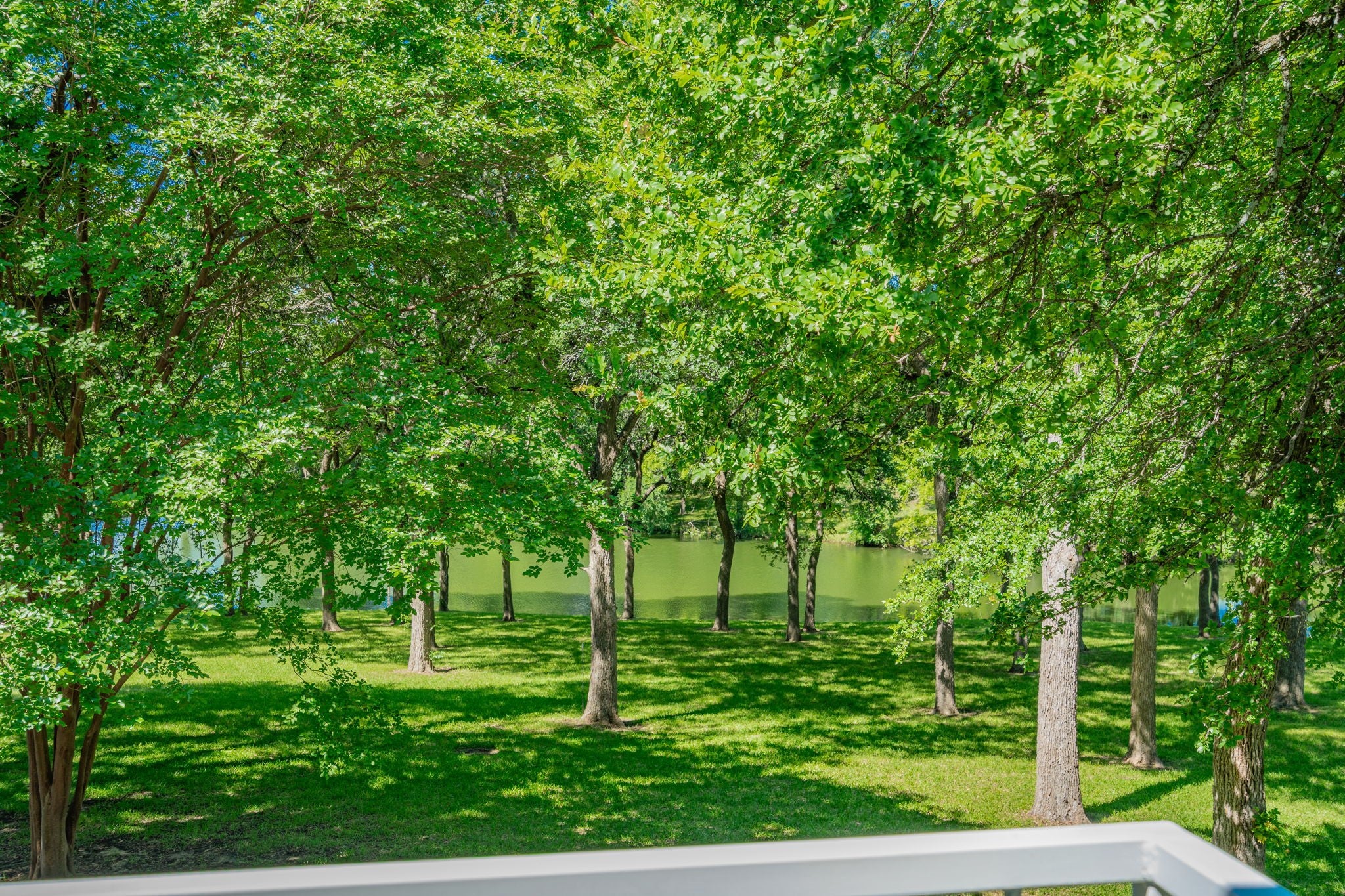 Seagoville, Texas, 75159, United States, 4 Bedrooms Bedrooms, ,5 BathroomsBathrooms,Residential,Active,1810463