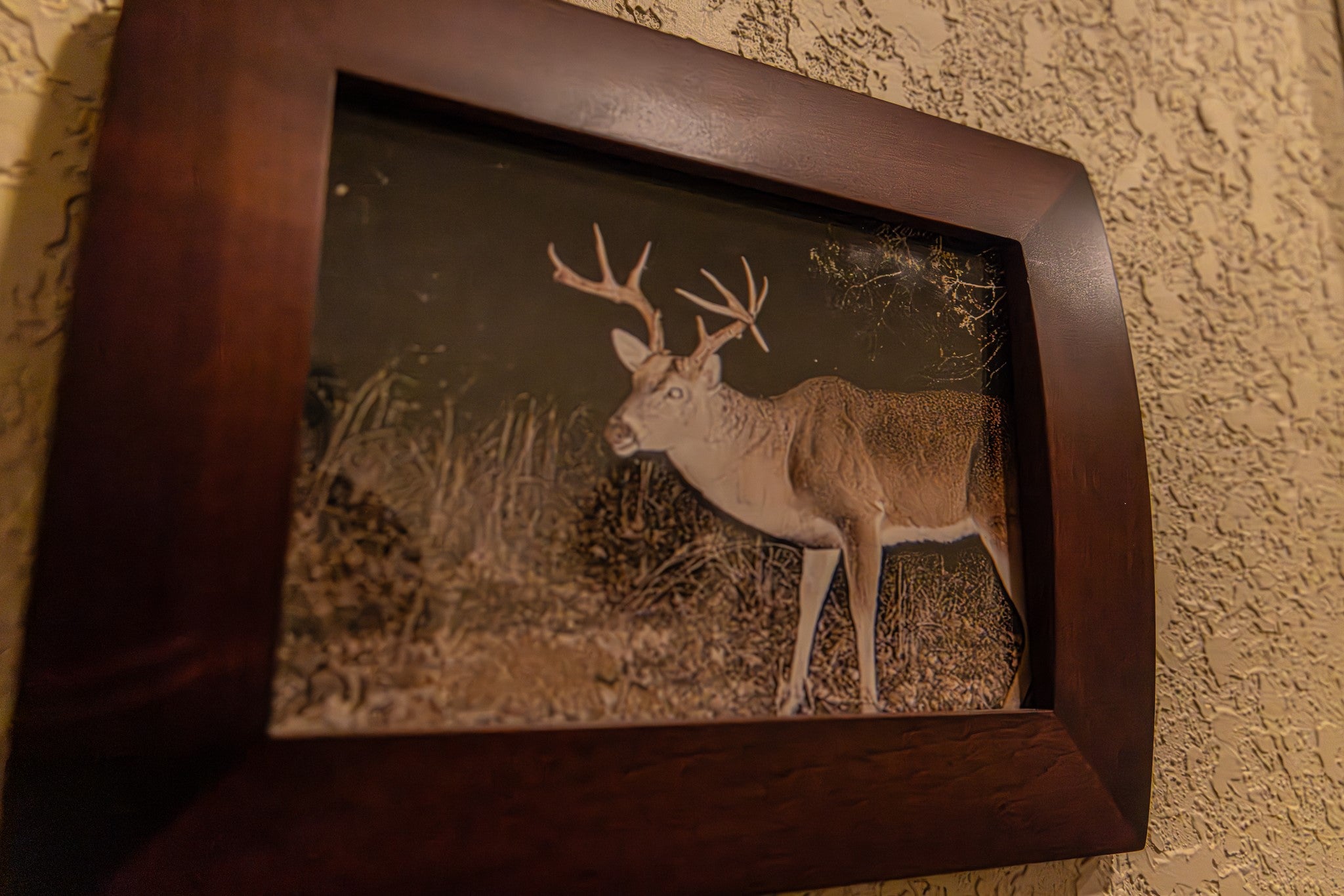 Graford, Texas, 76449, United States, 2 Bedrooms Bedrooms, ,1 BathroomBathrooms,Residential,Active,2006785