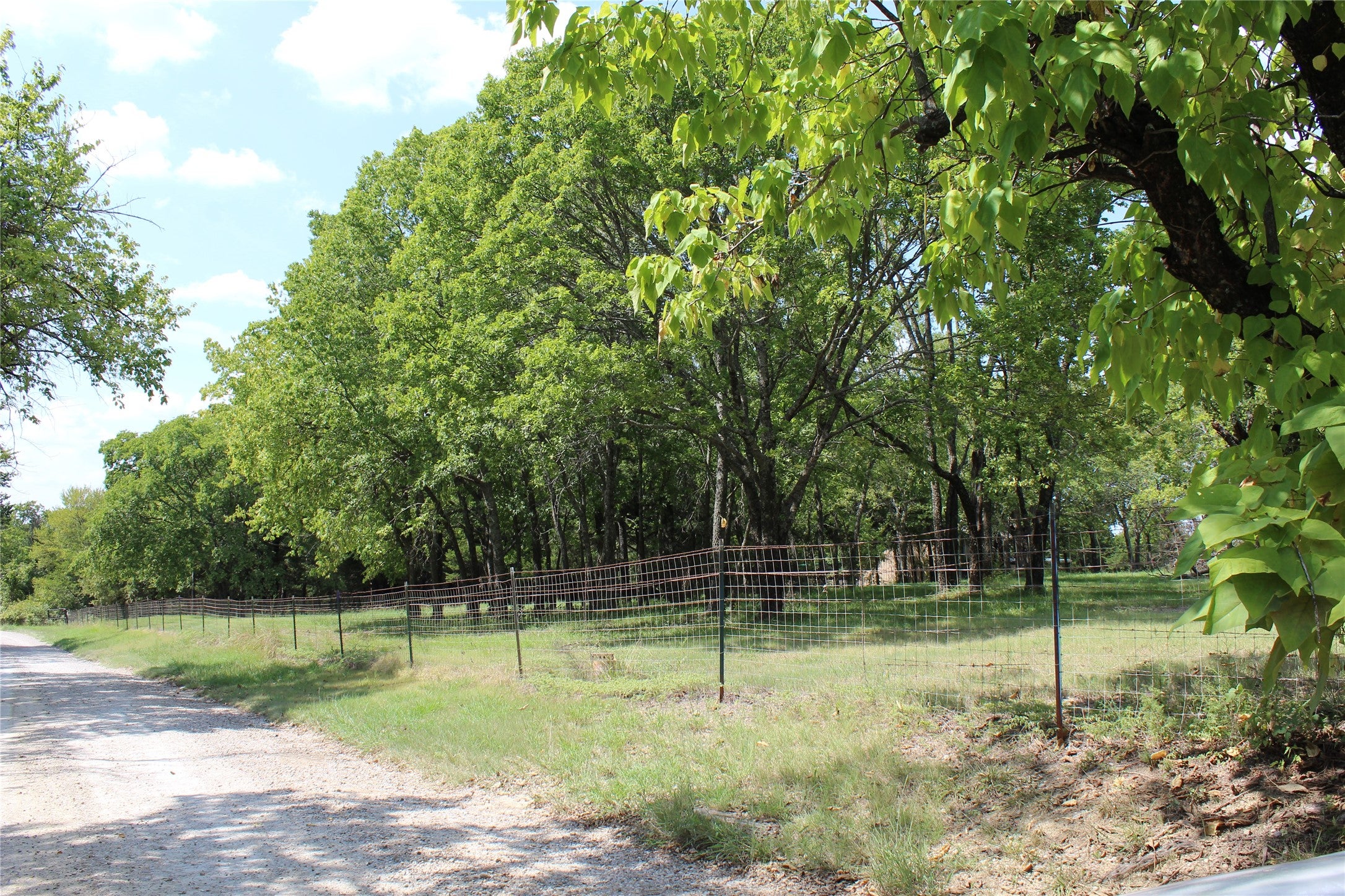 Bonham, Texas, 75418, United States, 9 Bedrooms Bedrooms, ,6 BathroomsBathrooms,Residential,Active,1988719