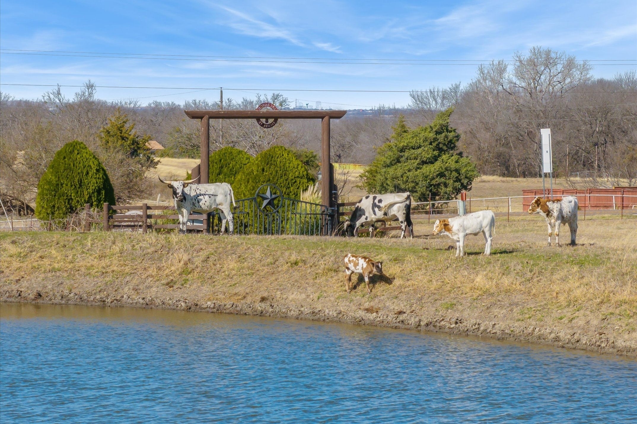 Palmer, Texas, 75152, United States, 6 Bedrooms Bedrooms, ,5 BathroomsBathrooms,Residential,Active,2010532