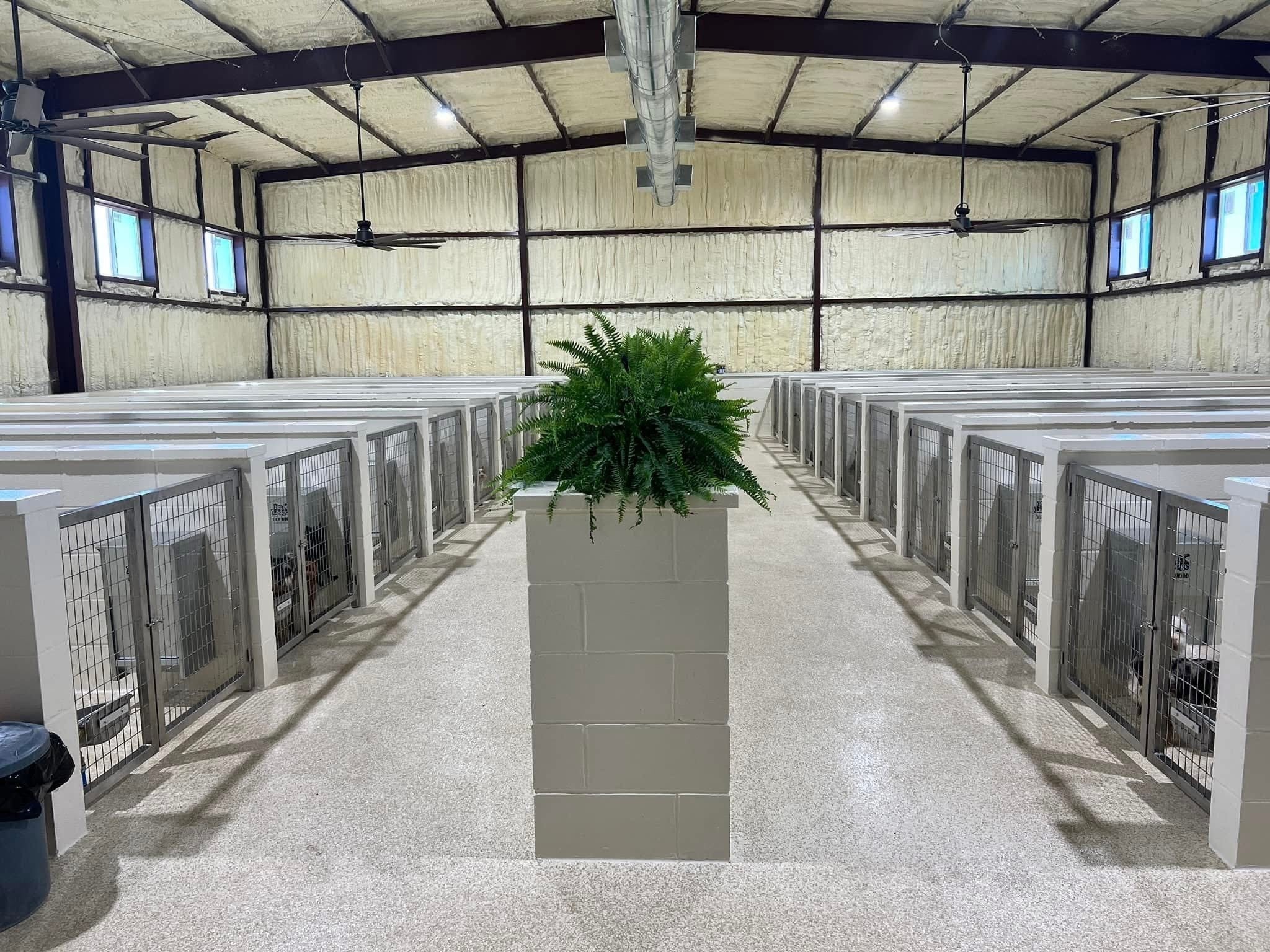 Blooming Grove, Texas, 76626, United States, 4 Bedrooms Bedrooms, ,6 BathroomsBathrooms,Residential,Active,2003548