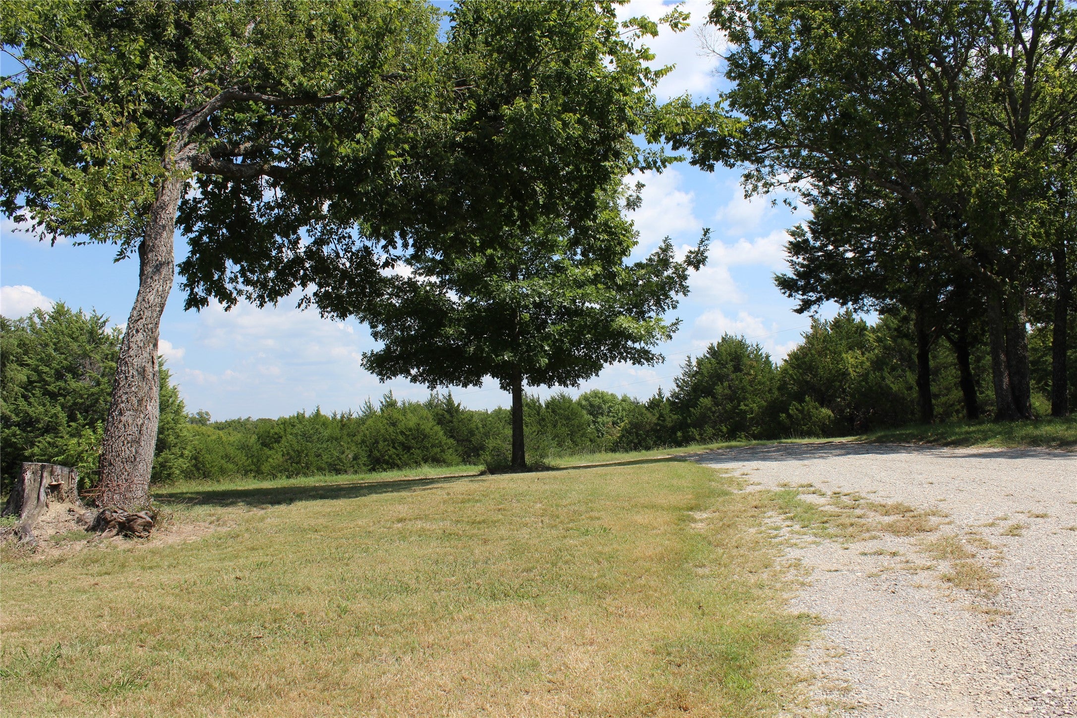 Bonham, Texas, 75418, United States, 9 Bedrooms Bedrooms, ,6 BathroomsBathrooms,Residential,Active,1988719