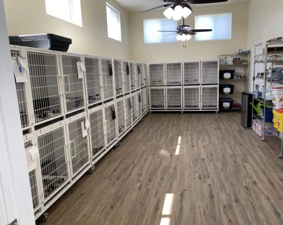 Blooming Grove, Texas, 76626, United States, 4 Bedrooms Bedrooms, ,6 BathroomsBathrooms,Residential,Active,2003548