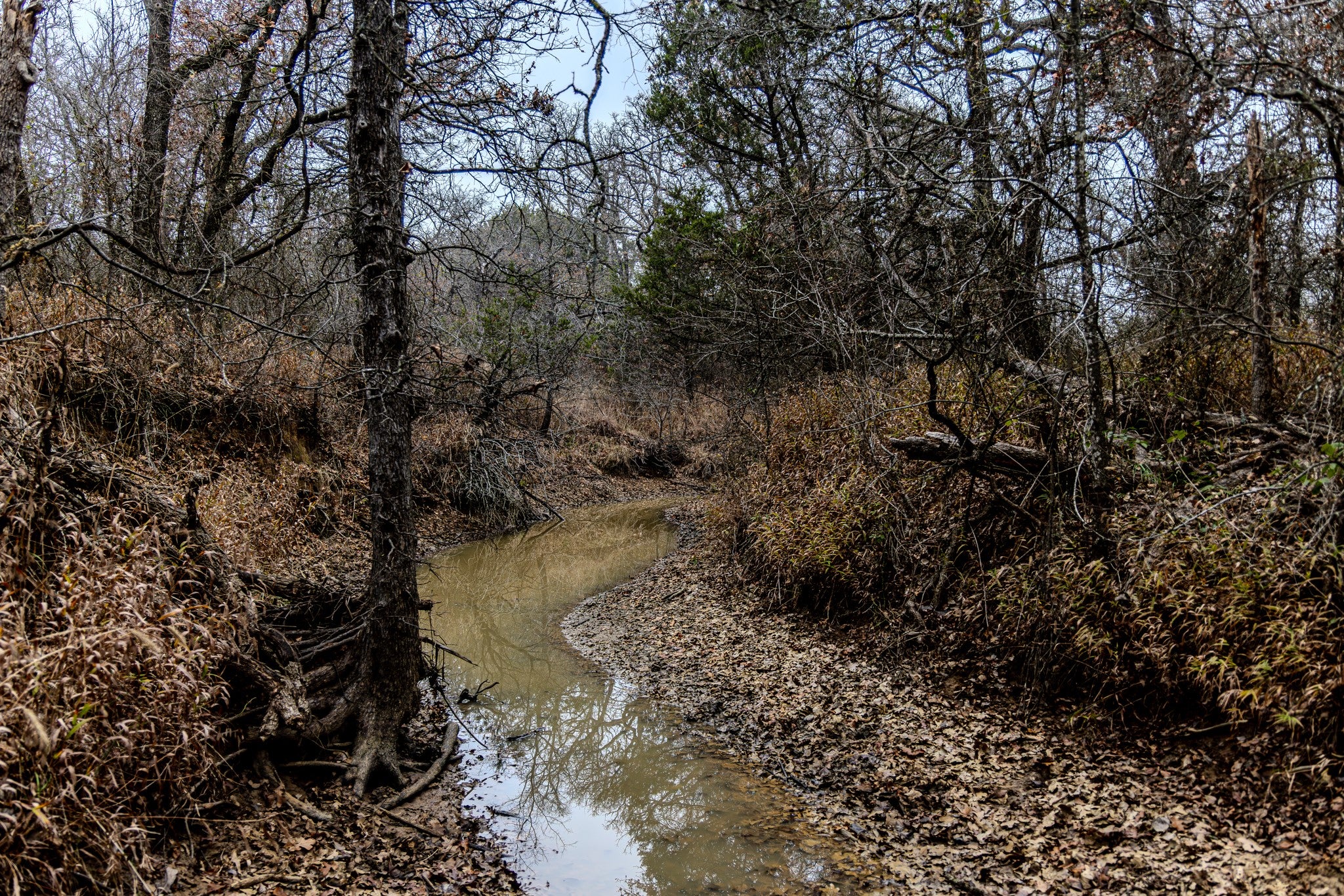Graford, Texas, 76449, United States, 2 Bedrooms Bedrooms, ,1 BathroomBathrooms,Residential,Active,2006785