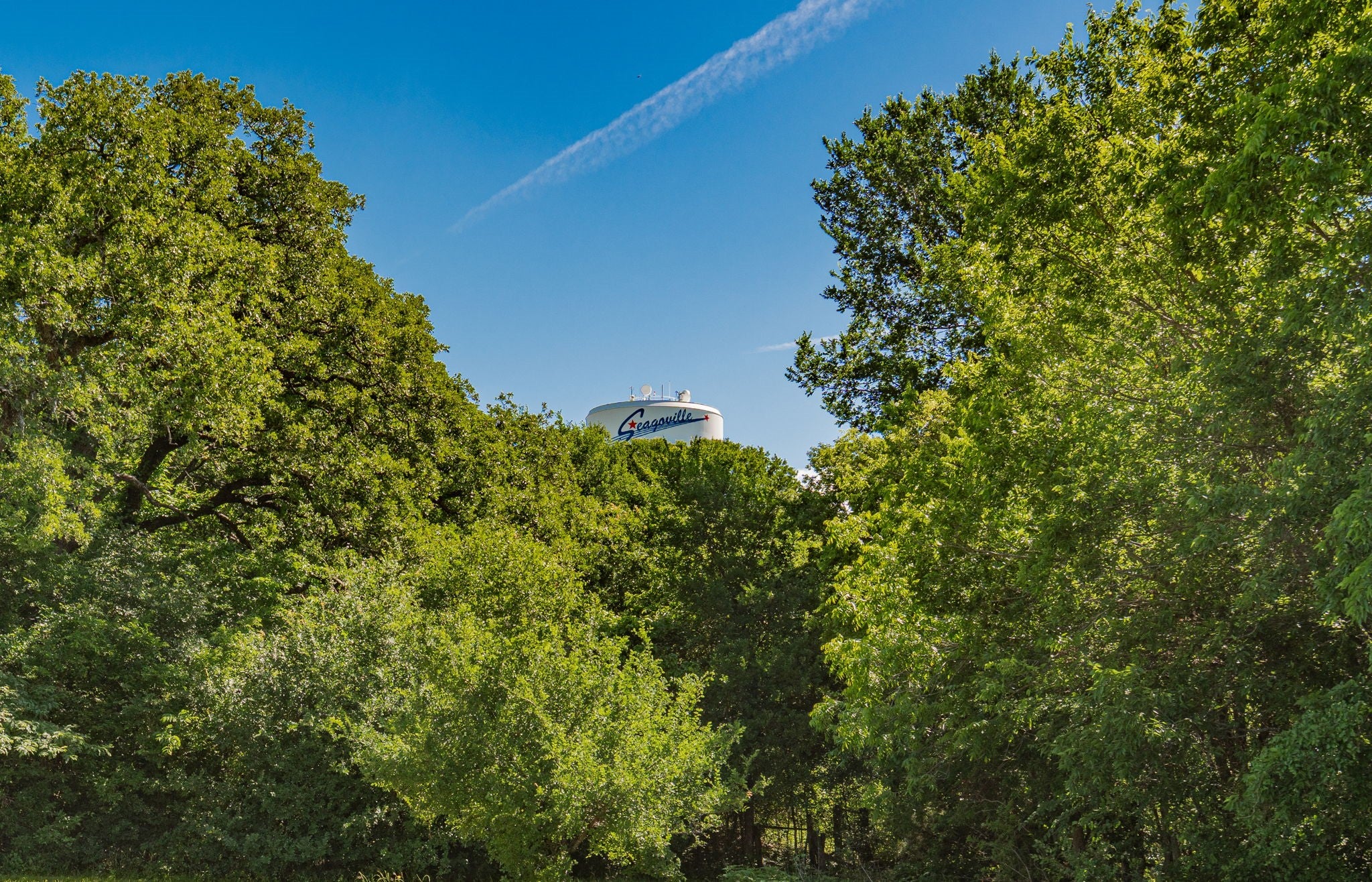 Seagoville, Texas, 75159, United States, 4 Bedrooms Bedrooms, ,5 BathroomsBathrooms,Residential,Active,1810463