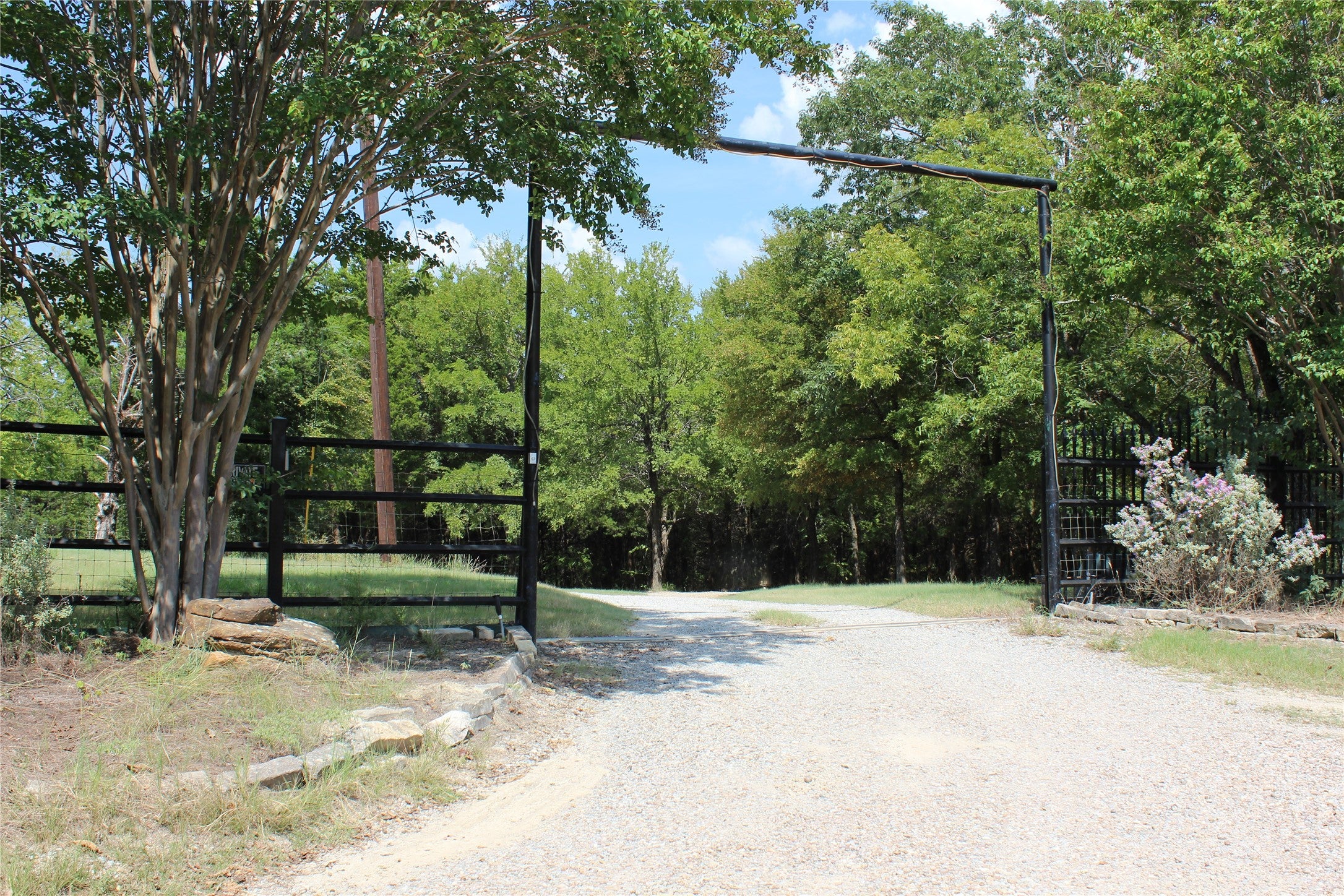 Bonham, Texas, 75418, United States, 9 Bedrooms Bedrooms, ,6 BathroomsBathrooms,Residential,Active,1988719