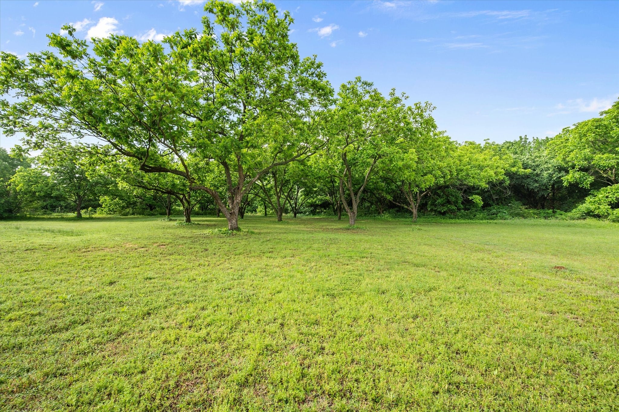 Mansfield, Texas, 76063, United States, 5 Bedrooms Bedrooms, ,6 BathroomsBathrooms,Residential,Contingent,1799362