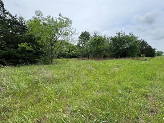 TBD SUNRISE WEST LOT 1, CORSICANA, TX 75109, photo 3 of 5