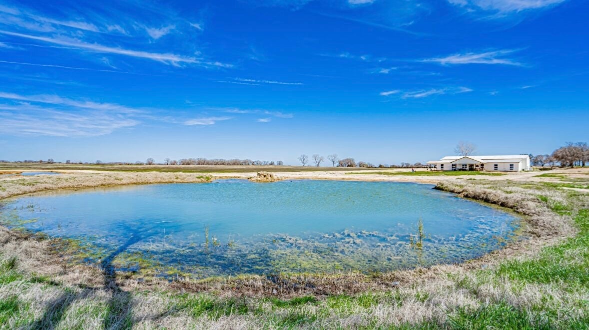 Tolar, Texas, 76476, United States, 5 Bedrooms Bedrooms, ,7 BathroomsBathrooms,Residential,Active,1993962