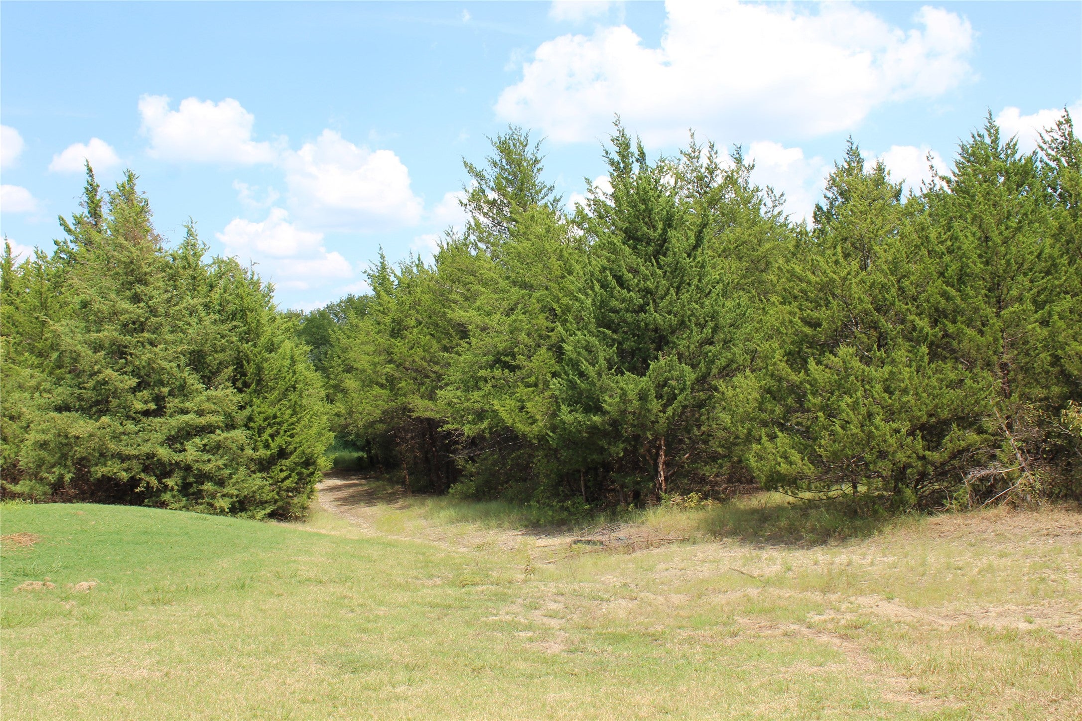 Bonham, Texas, 75418, United States, 9 Bedrooms Bedrooms, ,6 BathroomsBathrooms,Residential,Active,1988719