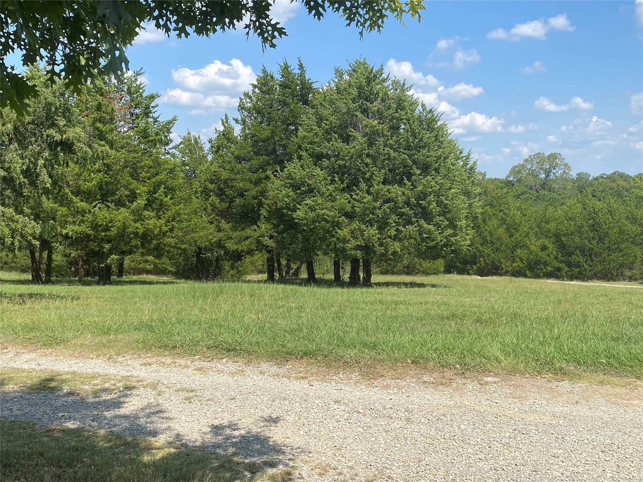 Bonham, Texas, 75418, United States, 9 Bedrooms Bedrooms, ,6 BathroomsBathrooms,Residential,Active,1988719