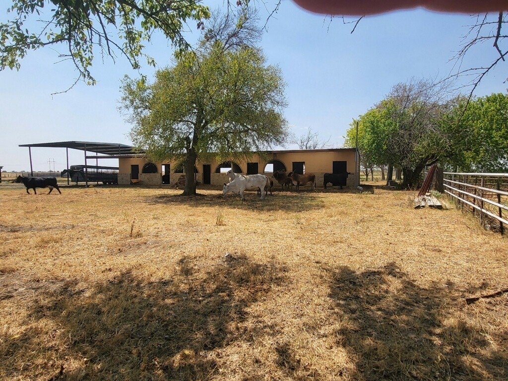 Cleburne, Texas, 76031, United States, ,5 BathroomsBathrooms,Residential,Active,1820498