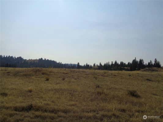 337 LOT WATOKA WAY, TONASKET, WA 98855 - Image 1