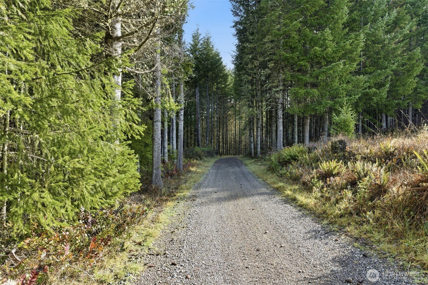 Rochester, Washington, 98579, United States, 3 Bedrooms Bedrooms, ,1 BathroomBathrooms,Residential,Active,2018183