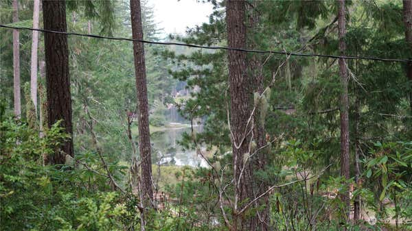 501 NE COLLINS LAKE DR, TAHUYA, WA 98588 - Image 1