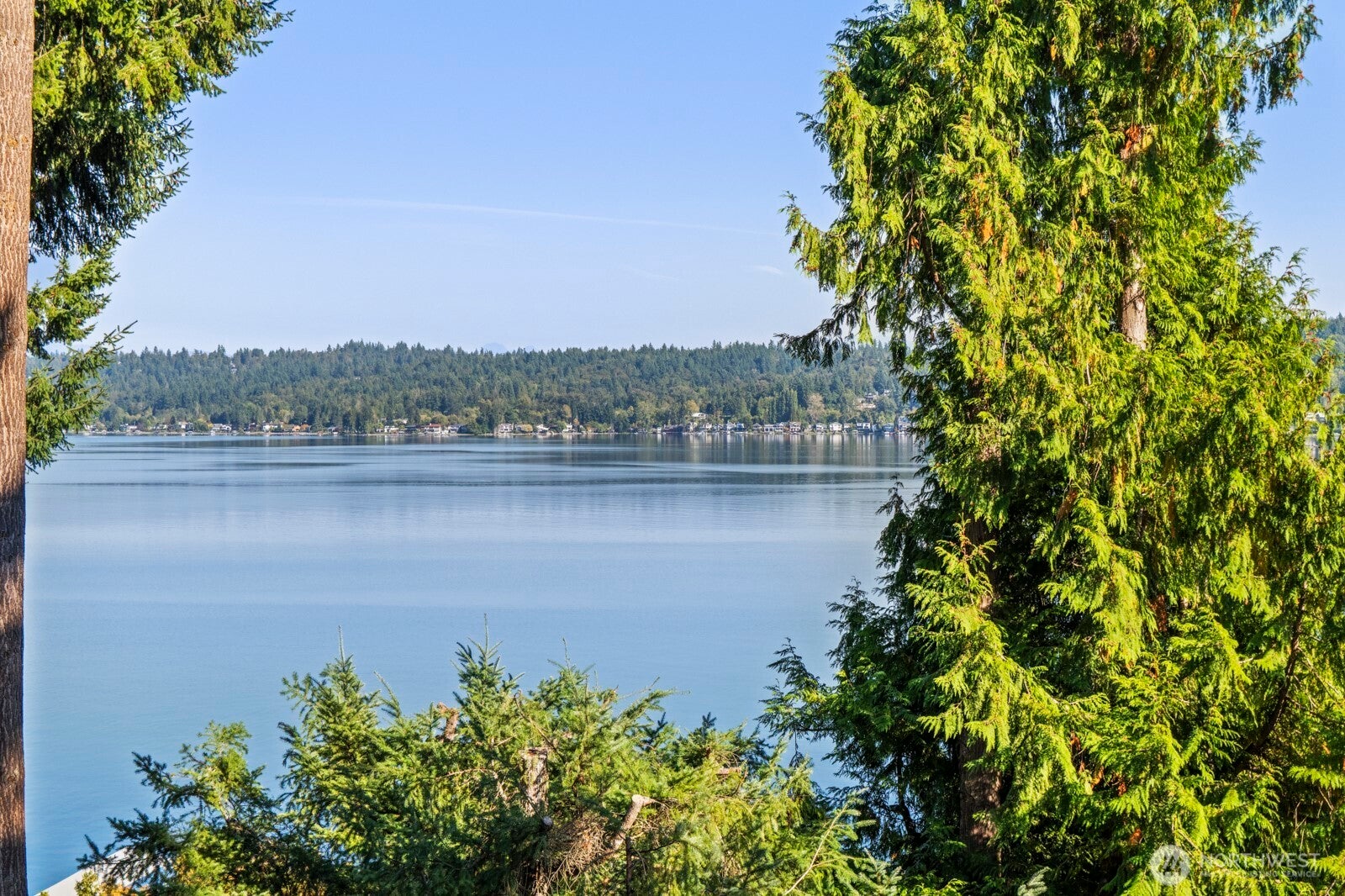 Bellevue, Washington, 98008, United States, 4 Bedrooms Bedrooms, ,5 BathroomsBathrooms,Residential,Active,1960111