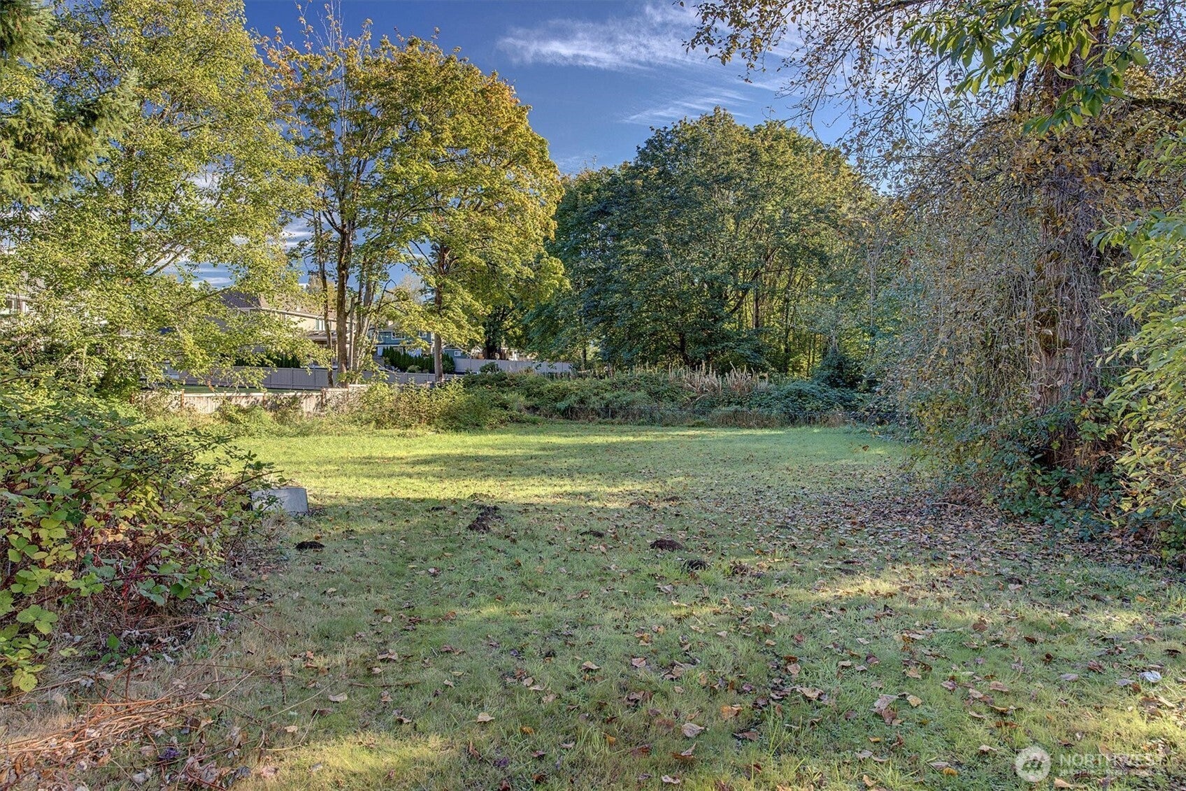 Renton, Washington, 98059, United States, 3 Bedrooms Bedrooms, ,2 BathroomsBathrooms,Residential,Active,1967101