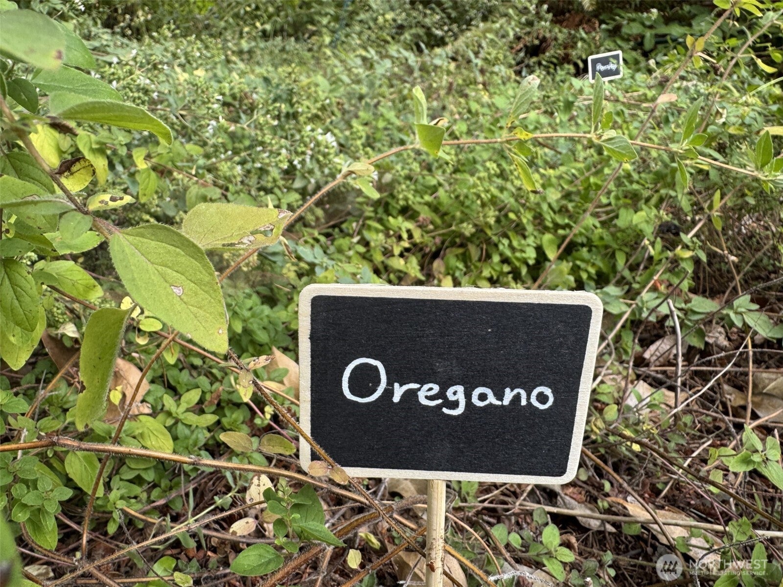 Issaquah, Washington, 98027, United States, 4 Bedrooms Bedrooms, ,3 BathroomsBathrooms,Residential,Active,1952447