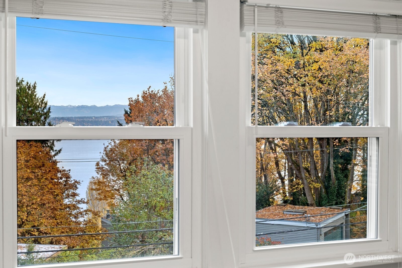 Seattle, Washington, 98122, United States, 3 Bedrooms Bedrooms, ,3 BathroomsBathrooms,Residential,Active,1988423