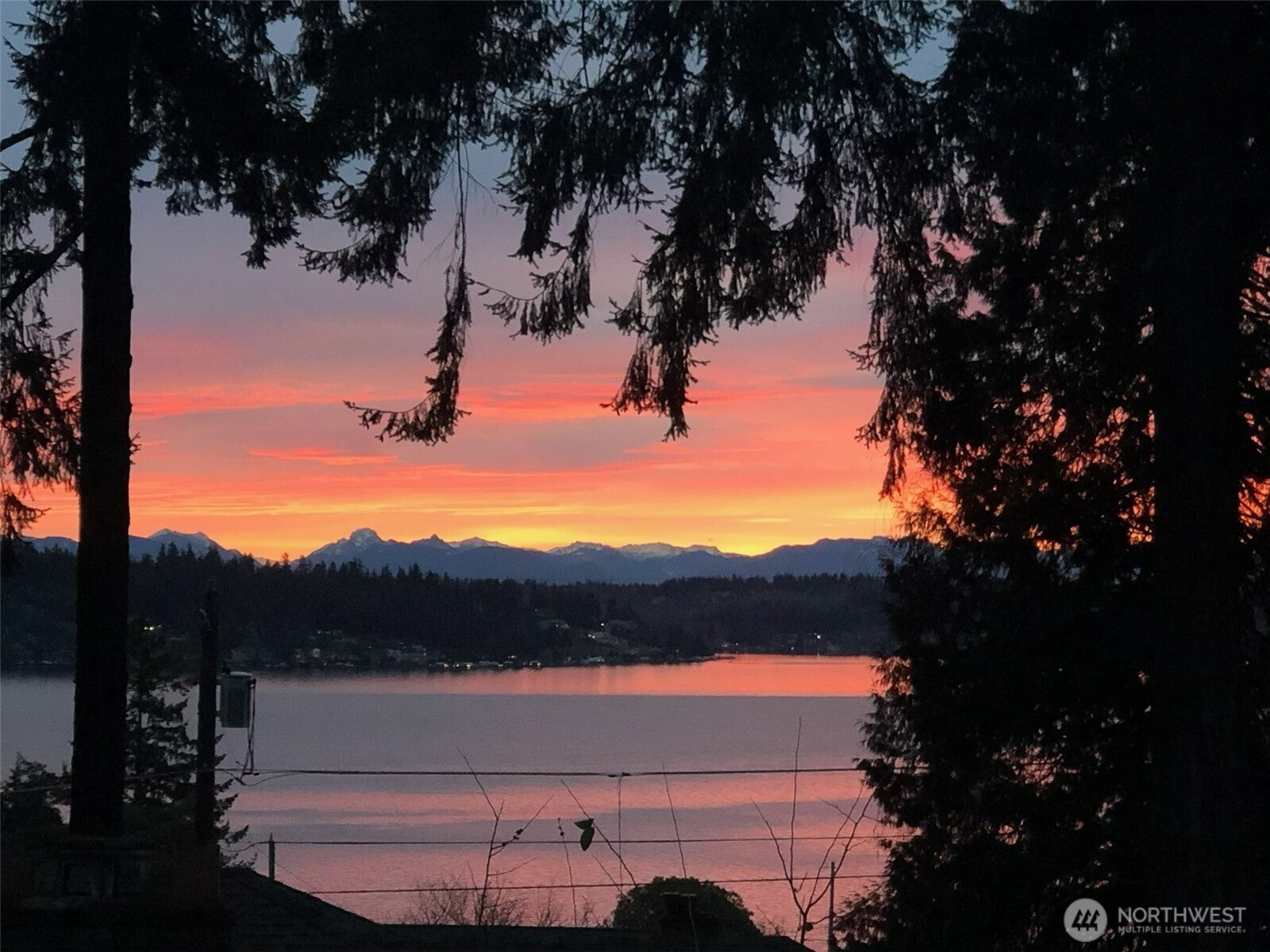 Seattle, Washington, 98125, United States, 7 Bedrooms Bedrooms, ,3 BathroomsBathrooms,Residential,Active,1999918