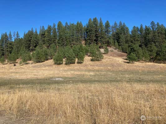 0 (LOT 2) NW NE, TONASKET, WA 98855 - Image 1