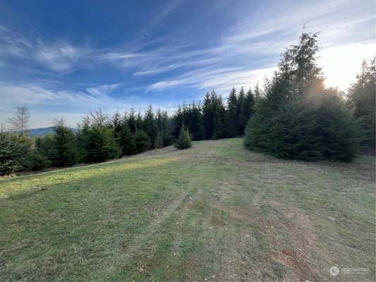 323 XX PARPALA ROAD, NASELLE, WA 98638 - Image 1